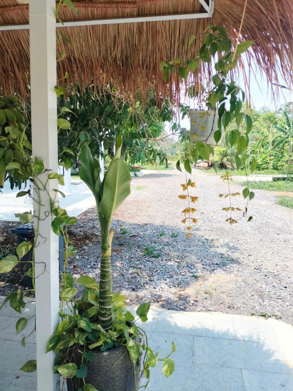 Primprey Second Home Battambang Exteriér fotografie